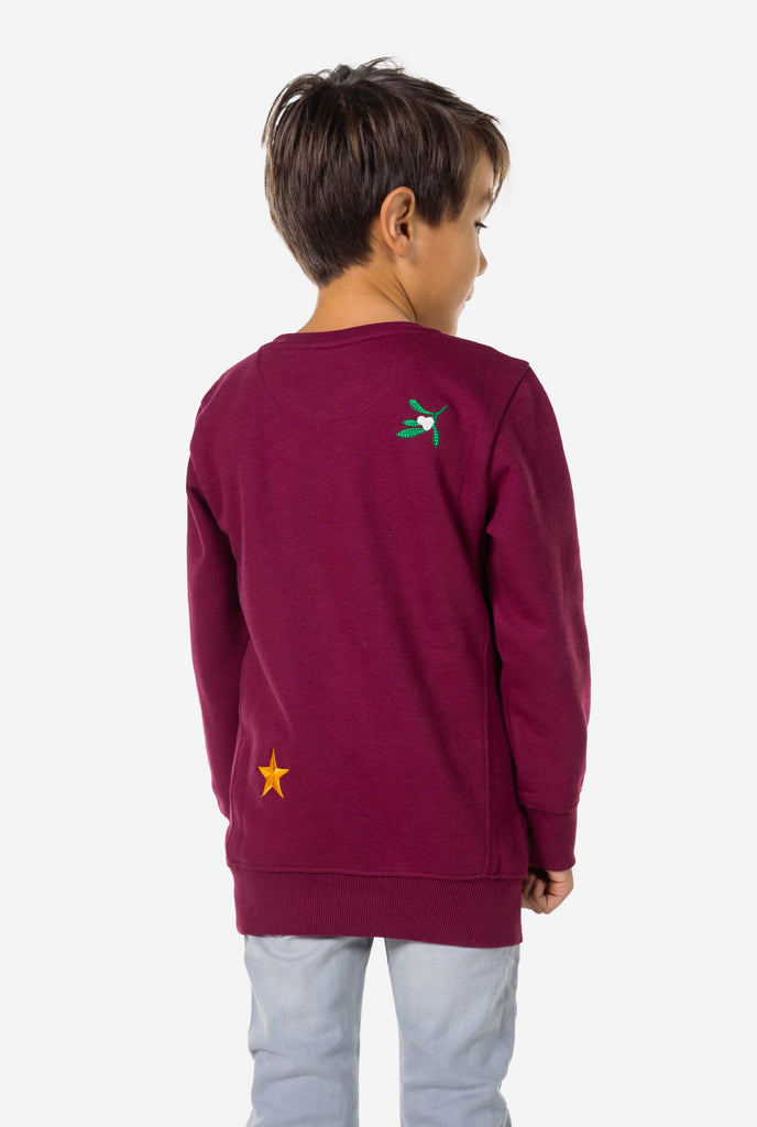 Kid wearing burgundy red Christmas sweater with Christmas icons, view from the back