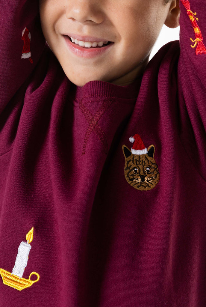 Kid wearing burgundy red Christmas sweater with Christmas icons, close up