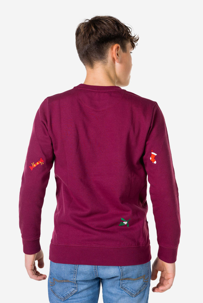 Kid wearing burgundy red Christmas sweater with Christmas icons, view from the back