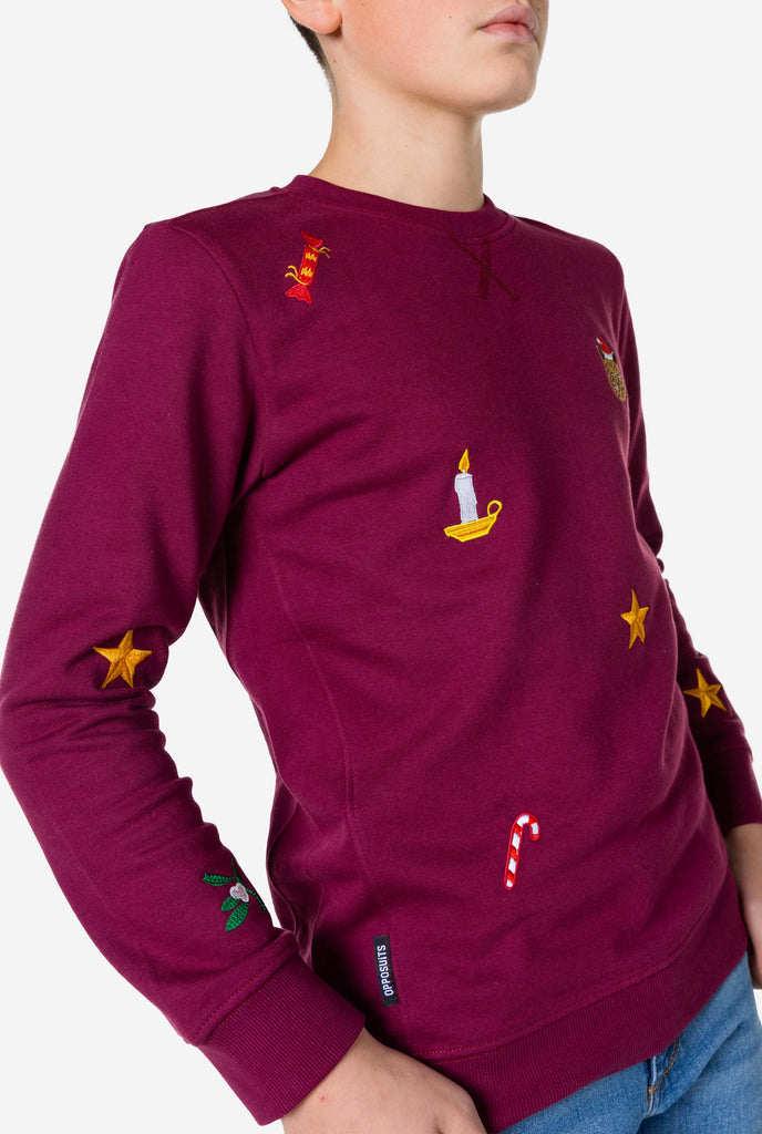 Kid wearing burgundy red Christmas sweater with Christmas icons, close up