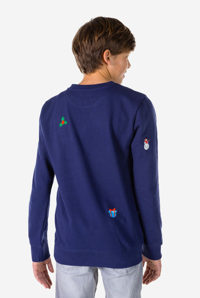 Kid wearing blue Christmas sweater with Christmas icons, view from the back