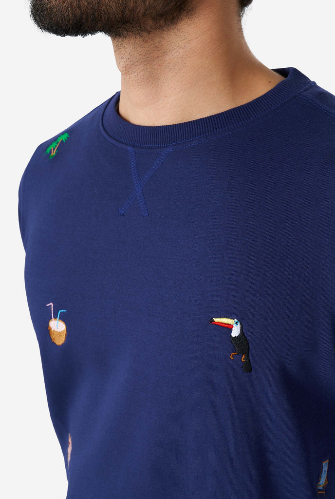 Man wearing blue sweater with summer icons, close up